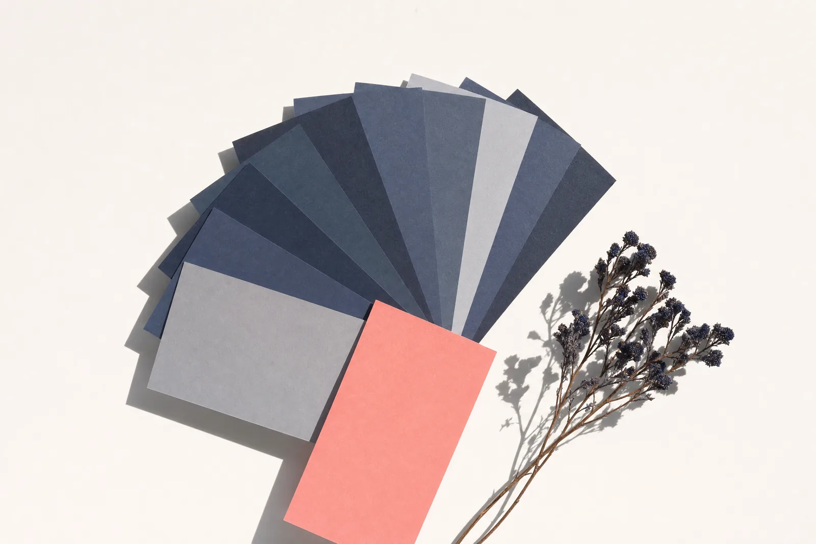 A fan of blank card swatches in navy and grey with one coral card pulled forward