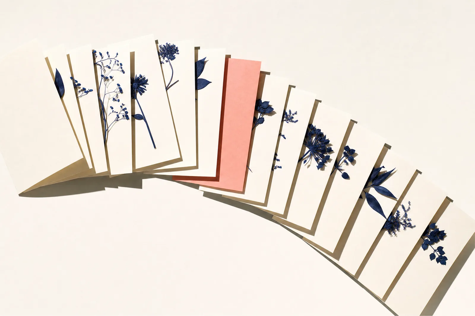 A long arc of blank cream cards pressed with navy botanicals, one card in coral