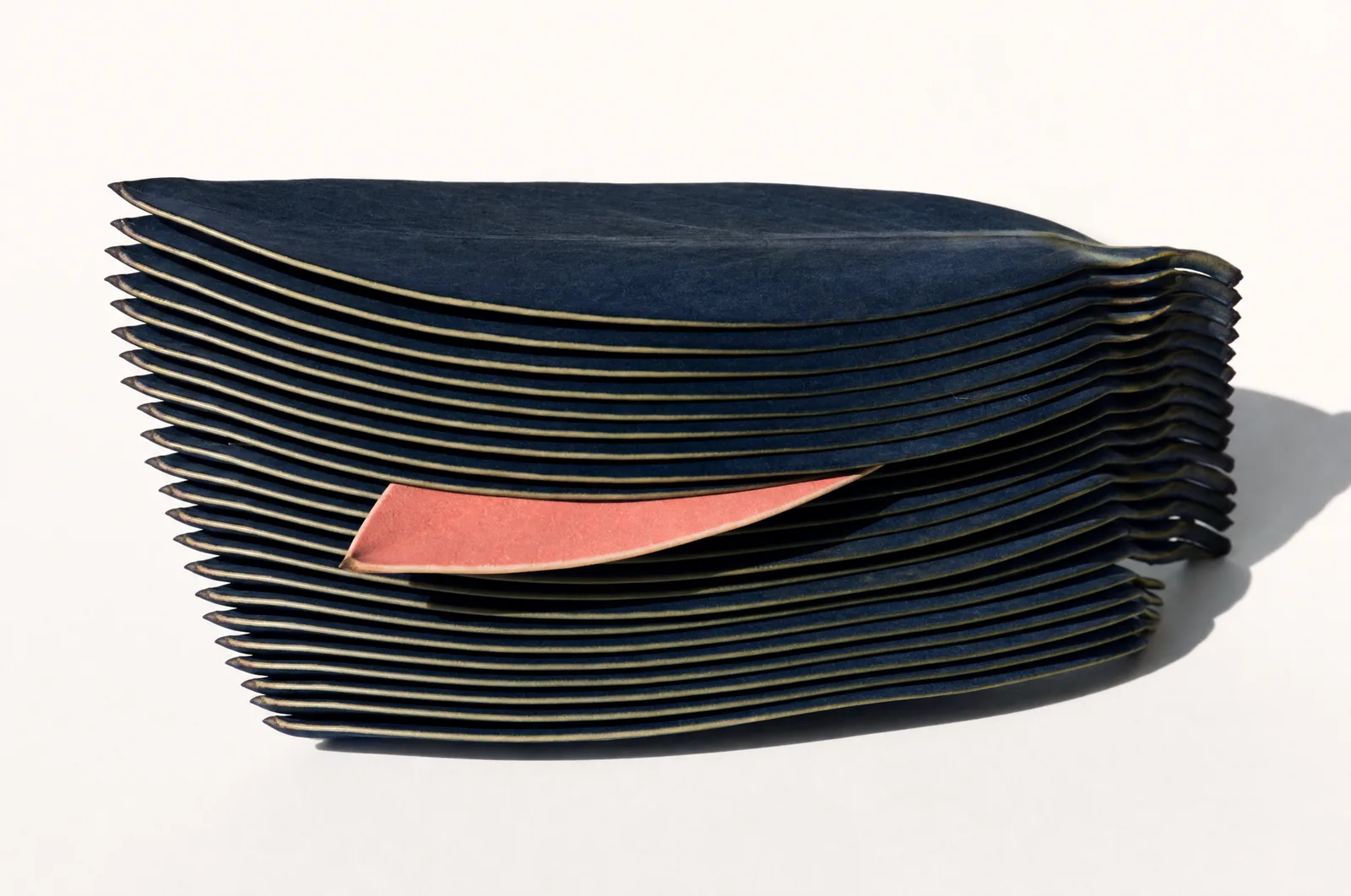A tall stack of identical deep navy protea leaves on white, one coral leaf slipped out