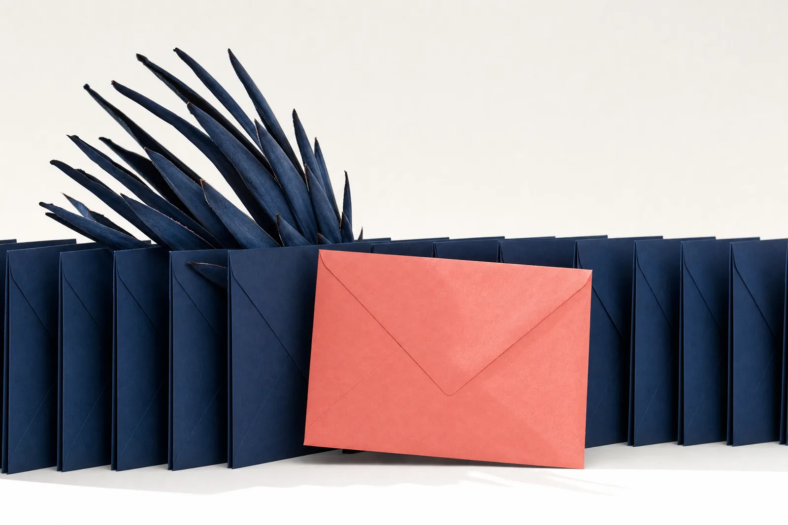 A long row of navy envelopes stood on edge with one coral envelope at the front