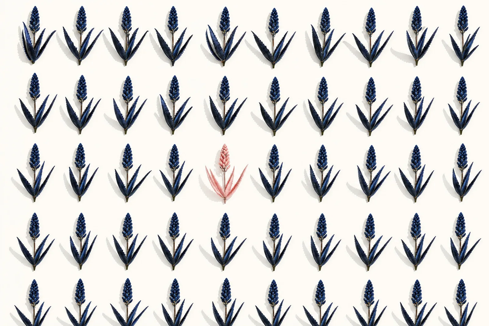 A precise grid of identical navy aloe sprigs with a single coral one among them